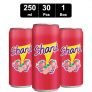 Shani – Fruit Flavor Drink 30 x 250 ml
